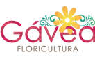  Floricultura Gávea Flores