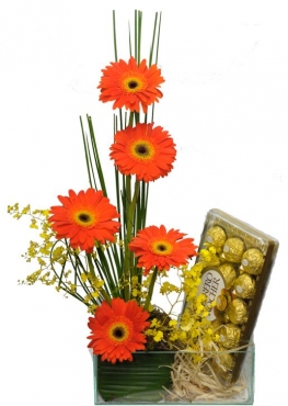 Gerberas Com Ferrero